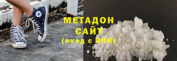 прущие грибы Абаза