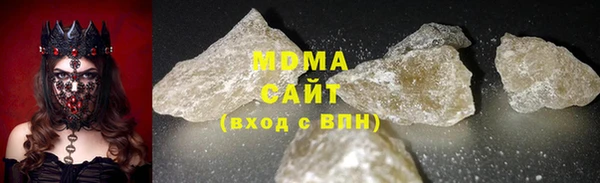 прущие грибы Абаза
