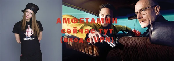 прущие грибы Абаза