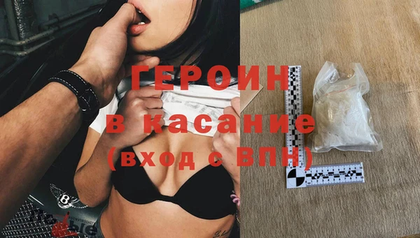 прущие грибы Абаза