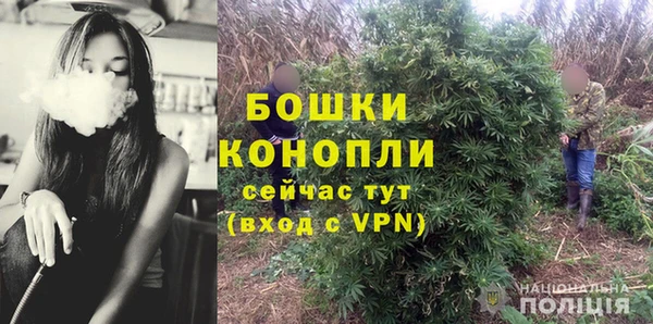 прущие грибы Абаза