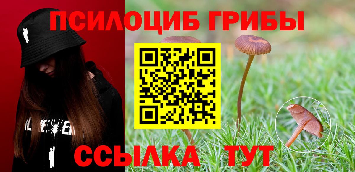 Кимовск  Псилоцибиновые грибы мухоморы  Вход с VPN  Псилоцибиновые грибы мухоморы 